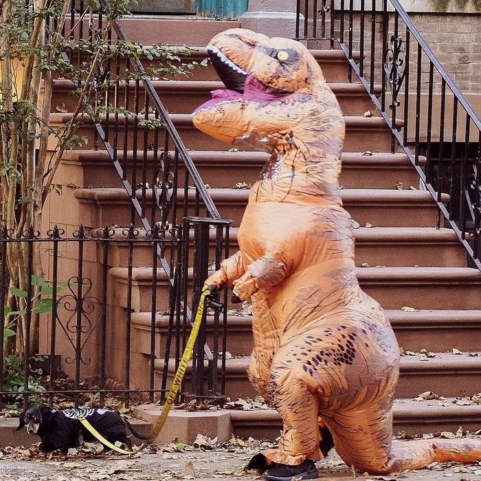  Bộ mascot khủng long T-Rex nổi tiếng trên toàn thế giới nhờ xuất hiện trong các bộ ảnh hài hước. Tại New York, trang phục hóa trang này cũng xuất hiện cùng chú chó nhỏ tại khu dân cư Park Slope, Brooklyn. Đây là khu phố nổi bật với các dãy nhà kiểu brownstone từ thế kỷ XIX và đầu thế kỷ XX, tạo nên vẻ đẹp cổ điển và đặc trưng. Park Slope còn được đánh giá là một trong những nơi đáng sống nhất ở New York với các trường học tốt, nhiều công viên nhỏ và cộng đồng đa dạng, thân thiện. 