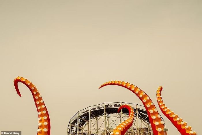  Hai điểm thu hút nổi tiếng nhất của Coney Island là tàu lượn siêu tốc Cyclone và Thủy cung New York. Tuy nhiên, ở góc nhìn ống kính của nhiếp ảnh gia David Gray, khung cảnh trở nên kỳ lạ đến ngỡ ngàng. 