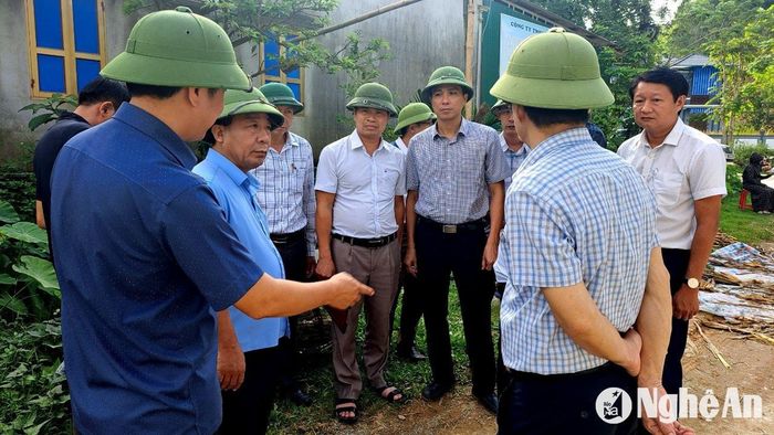 Đồng chí Nguyễn Văn Đệ - Phó Chủ tịch UBND tỉnh kiểm tra công tác phòng chống dịch tả lợn châu Phi tại huyện Anh Sơn. Ảnh: Q.A