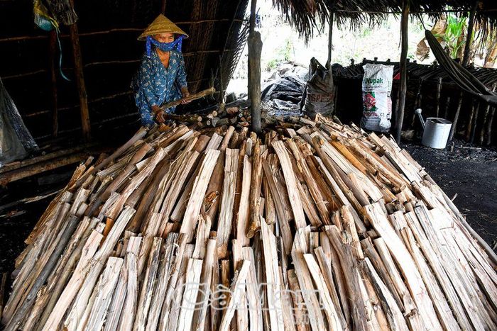 Nghề hầm than ở Cà Mau hình thành từ trước năm 1945, nằm trong danh mục 40 di sản văn hoá phi vật thể trên địa bàn tỉnh.