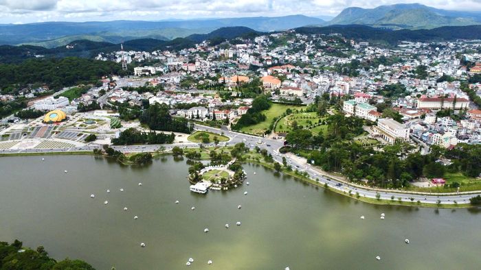 Từ 2021-2024, Đà lạt trồng hơn 2,6 triệu cây xanh, đạt 103% kế hoạch và đạt 68,5% kế hoạch giai đoạn 2021-2025.