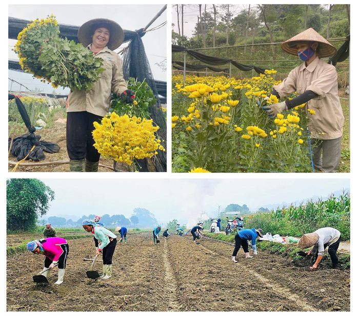  Trong những năm qua, các mô hình phát triển kinh tế ở Cốc San đã góp phần làm đổi thay vùng đất ven đô. 