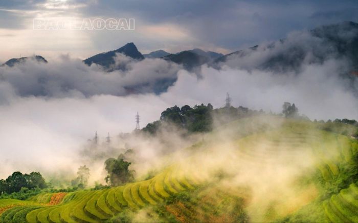  Với cảnh quan thiên nhiên tươi đẹp, Cốc San cũng là điểm dừng chân của du khách khi tham quan thành phố Lào Cai. 