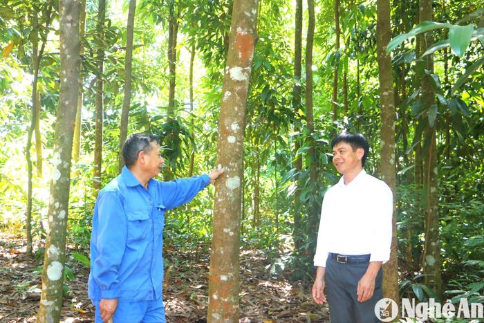 Ông Nguyễn Sỹ Giai - Bí thư Chi bộ thôn Lâm Trường (bên trái) trao đổi về mô hình VACR với đồng chí Sầm Việt Hùng - Phó Bí thư Đảng ủy xã Tiền Phong, huyện Quế Phong. Ảnh: An Quỳnh