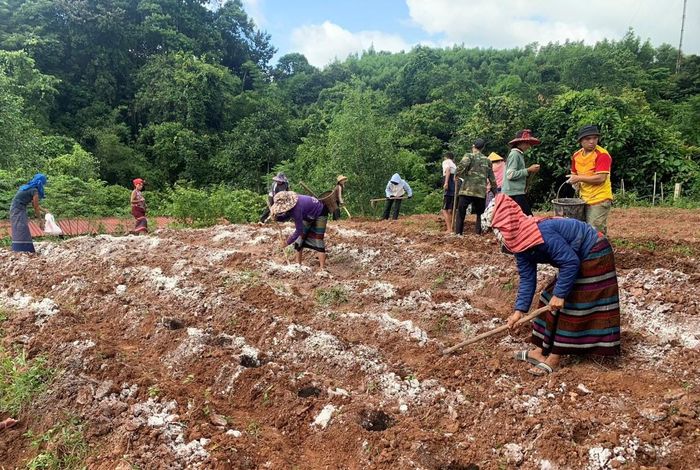 Nhờ làm tốt công tác tuyên truyền nên nhận thức của bà con trong phát triển kinh tế, bảo vệ rừng được nâng lên
