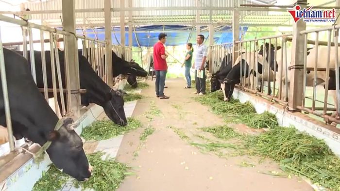 Cán bộ làm công tác thông tin, tuyên truyền cơ sở đã tăng cường thông tin, tuyên truyền về kiến thức, kỹ năng, mô hình, kinh nghiệm lao động, sản xuất, kinh doanh đến người dân