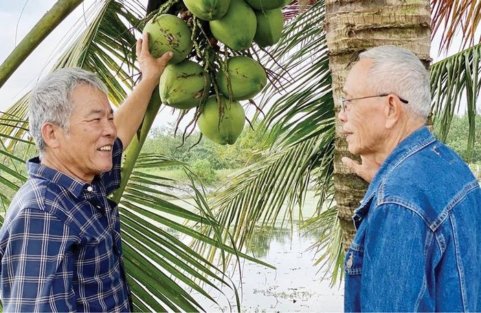 Ông Phan Lai Đức (bên trái) tạo nên trang trại xanh trên vùng đất cát Quảng Điền