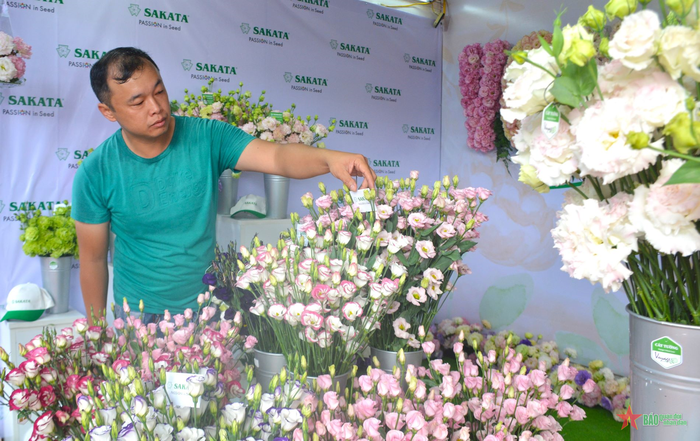 Giống hoa cát tường mới được một công ty giới thiệu tại phiên chợ. 