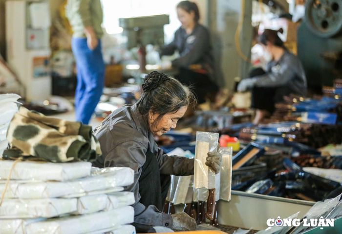  Làng rèn Tiến Lộc đến nay hầu hết vẫn được hoạt động chủ yếu dưới hình thức hộ gia đình nhỏ lẻ. Điều thú vị khi đến Tiến Lộc, đó là mỗi hộ gia đình trong làng đều sản xuất những mặt hàng khác nhau, du khách có thể tham quan, đi vòng quanh làng để tìm hiểu và tham quan được rất nhiều sản phẩm khác nhau, khá mới lạ và độc đáo 