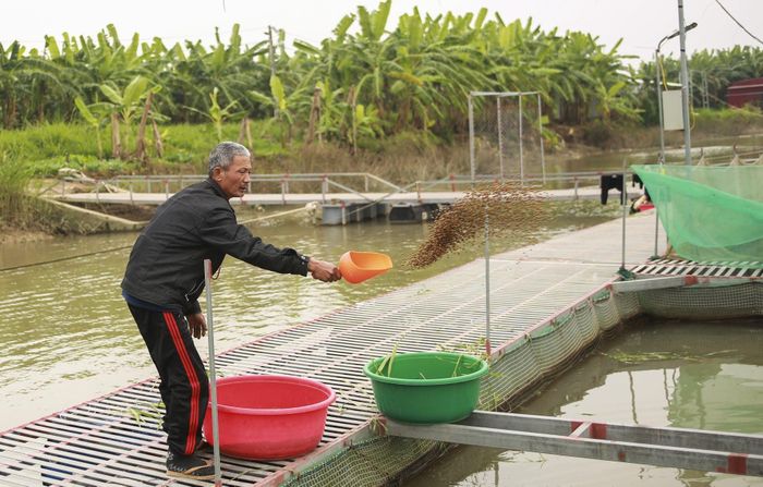 Nhiều hộ nuôi cá lồng tại Hải Dương vẫn đang khát vốn để sớm khôi phục nghề nuôi như trước bão - Ảnh: Ngọc Linh
