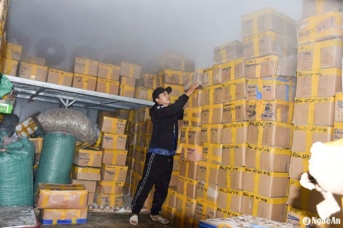 Các kho đông đầy ắp các loại hải sản Tết. Ảnh: Thanh Phúc