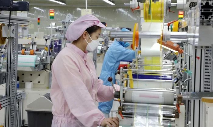 11 tháng năm 2024, Việt Nam thu hút được 31,38 tỷ USD vốn đầu tư trực tiếp nước ngoài (FDI), tăng 1,0% so với cùng kỳ năm 2023. Ảnh: ST