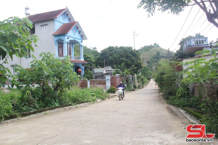 Tuyến đường tiểu khu Sao Đỏ, xã Vân Hồ, huyện Vân Hồ, được bê tông hóa