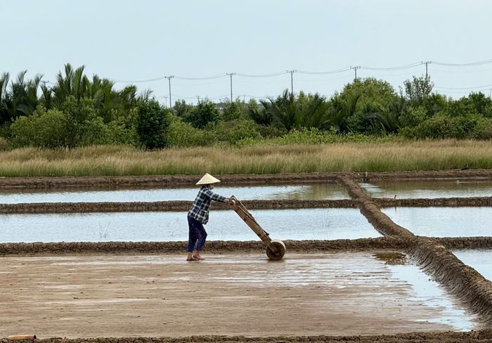  Làng muối tại xã Lý Nhơn, huyện Cần Giờ. Ảnh: VIỆT DŨNG 