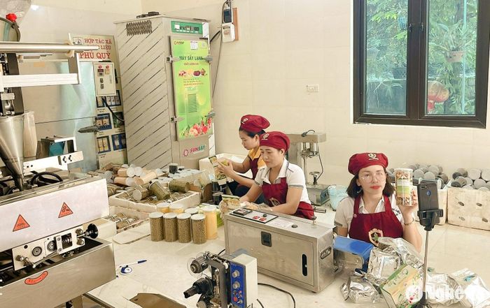 Hội viên nông dân HTX Dược liệu Phủ Quỳ quảng bá sản phẩm qua nền tảng số. Ảnh: TP