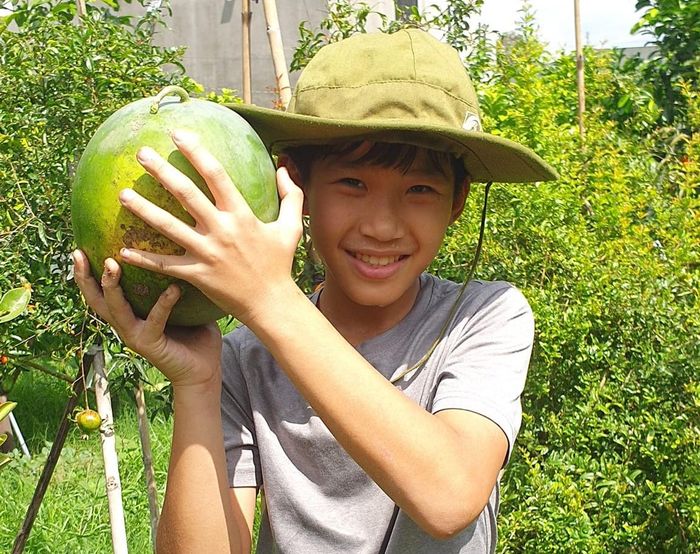 “Giống cây ăn quả trong nước thì trồng đơn giản quá rồi. Tôi muốn vườn của mình phải có được những giống cây hiếm, thậm chí là khó phù hợp với thổ nhưỡng để mình có thể thuần hóa được nó. Nhiều loại cây tôi đã lặn lội tìm mua ở nước ngoài, sau đó nhập khẩu về Việt Nam có giấy chứng nhận nguồn gốc rõ ràng”, ông Mân chia sẻ.
