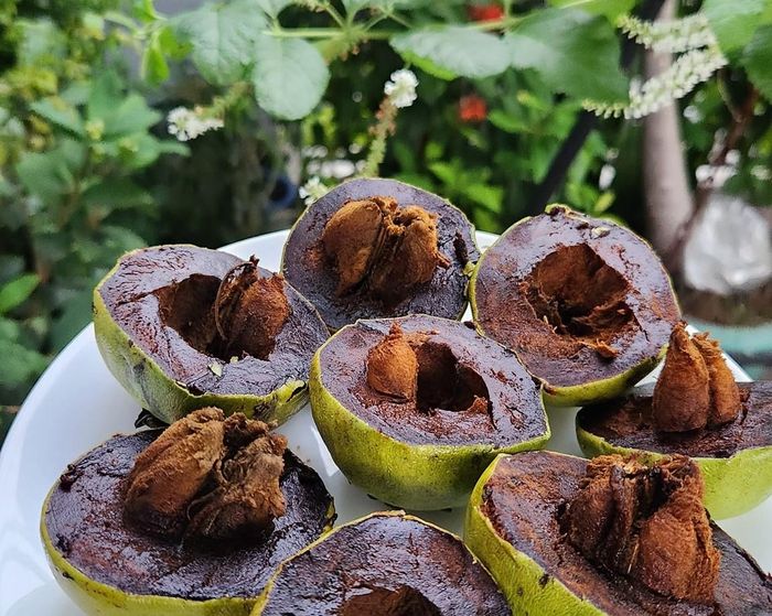 “Tôi đang thử nghiệm một số giống cây mới như bánh kem, đậu kem, hồng xiêm ruột đỏ khổng lồ, Mamey Apple, nhãn ma toa, ổi tím Daeng Ayothaya 3, mãng cầu gai khổng lồ của Thái,… Nếu thành công, tôi dự định sẽ cung cấp giống cho những nhà vườn hoặc người có nhu cầu. Giống phải đảm bảo được lấy từ những cây đã đậu quả, chất lượng cao”, ông Mân chia sẻ và cho hay, hiện tại chưa nghĩ tới việc bán trái cây để kiếm tiền mà thử nghiệm, sau khi đạt kết quả sẽ bán giống cho những người có chung niềm đam mê.