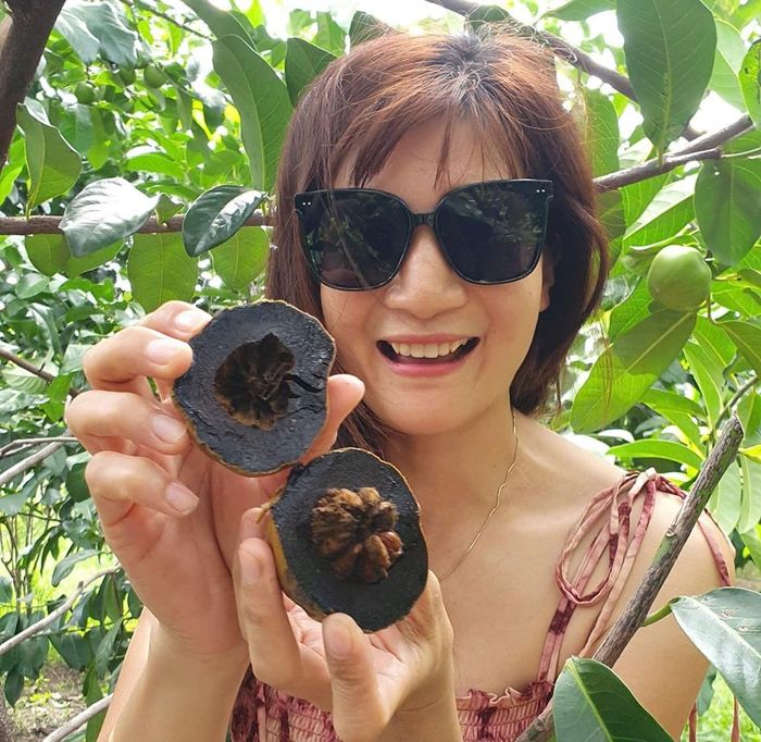 Từ trồng rau, ông thử nghiệm trồng các loại cây ăn trái trên sân thượng và thành công ngoài mong đợi.