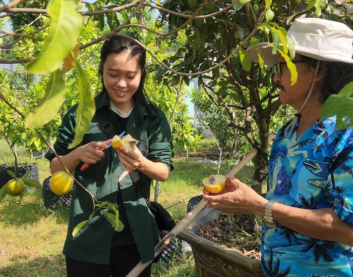 Ban đầu, ông Mân chỉ trồng các loại rau xanh ăn hàng ngày như rau muống, mùng tơi, bầu, bí, mướp và các loại rau gia vị. Phía trên là các loại cây leo giàn để vừa tận dụng diện tích trên cao, vừa che mát cho rau, trái.
