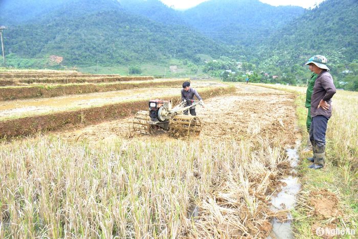 Dịp này, đồng bào Mông ở xã biên giới Tri Lễ (Quế Phong) nhộn nhịp ra đồng lấy nước vào ruộng bậc thang để làm đất, chuẩn bị gieo cấy lúa vụ Xuân. Ảnh: Quang An
