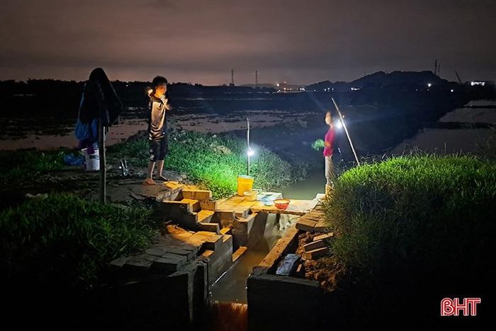 Gần 20 giờ, trên cánh đồng rươi nằm bên bờ sông Lam thuộc xã Xuân Lam lại nhộn nhịp người dân đi săn rươi.