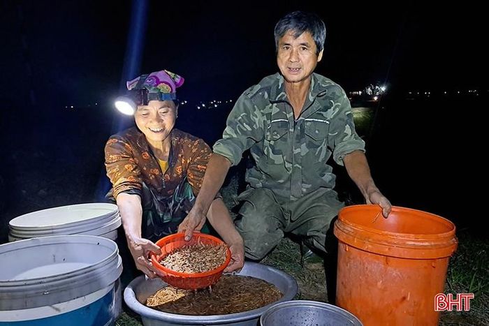 Ông Sử cho hay: Năm nay, rươi được mùa hơn năm trước do thời tiết khá thuận lợi vì ít lũ. Đây là đợt thu hoạch thứ 6 từ khi rươi vào mùa. Gia đình tôi đã săn được khoảng 3 tạ rươi, thu về hơn 80 triệu đồng.