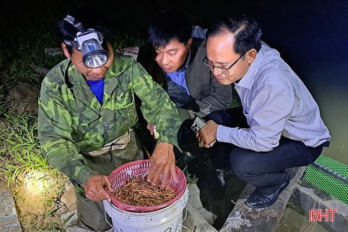 Toàn xã Xuân Lam hiện có hơn 12ha diện tích sản xuất rươi, cáy, lúa tự nhiên kết hợp của 60 hộ dân. Qua đánh giá sản lượng rươi từ đầu vụ đến nay, toàn xã thu hoạch được khoảng 5 tấn, trị giá hơn 1,5 tỷ đồng.