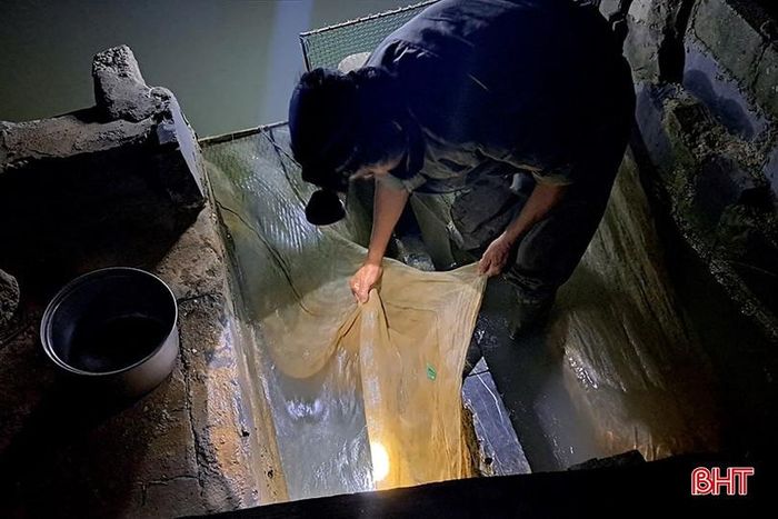 Mấy đêm nay, ông Trần Văn Sự ở thôn 2, xã Xuân Lam cùng vợ thắp sáng điện, giăng lưới ở cống thoát nước thủy triều từ ruộng ra, chuẩn bị dụng cụ sẵn sàng chờ rươi nổi chảy theo con nước để thu hoạch. Nhờ dày dặn kinh nghiệm cùng với may mắn, đồng rươi hơn 4 sào của gia đình ông cho sản lượng cao.
