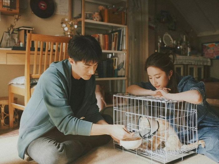 Lưu Diệc Phi và Lâm Canh Tân được mong đợi tái hợp