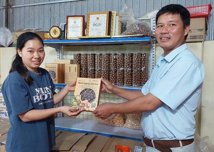  Sản phẩm OCOP hạt mắc ca Minh Quang ( huyện Kbang) đang được thị trường tin dùng. Ảnh: N.D 