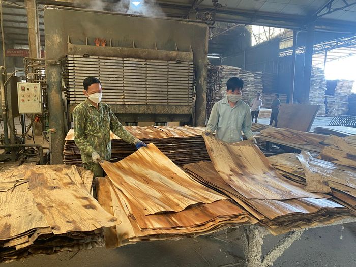 Nhờ bố trí đất sản xuất và bằng các hình thức hỗ trợ tạo thêm động lực để đồng bào DTTS&amp;MN huyện Yên Lập phát triển kinh tế, vươn lên làm giàu.
