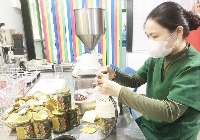 Sản phẩm từ sâm Bố Chính được sản xuất theo quy trình an toàn vệ sinh thực phẩm 