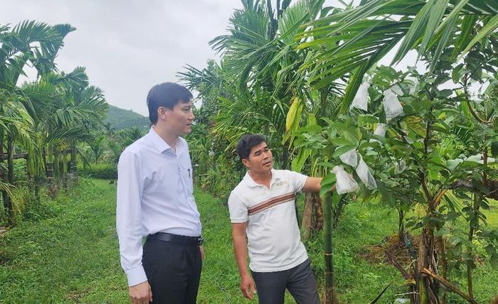 Ông Lâm Quang Bình (phải) ở thôn 5, xã Tiên Hiệp cũng là một trong gương sáng về kinh tế vườn ở huyện Tiên Phước.