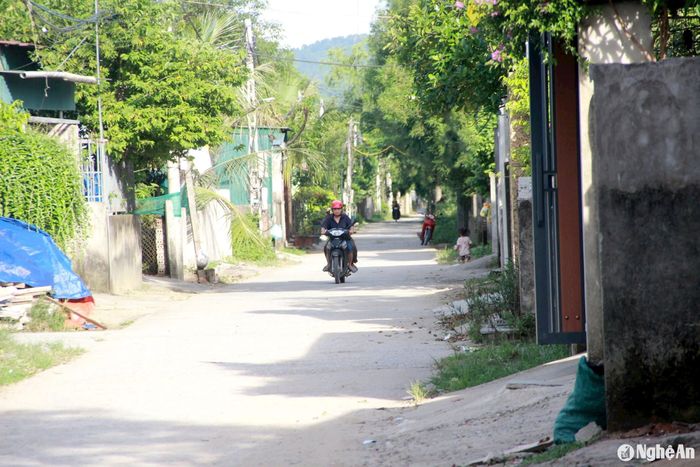 Tuyến đường bên trái cầu Tân Phượng, khối Tân An, phường Vinh Tân cũng không có tên. Ảnh: Q.A