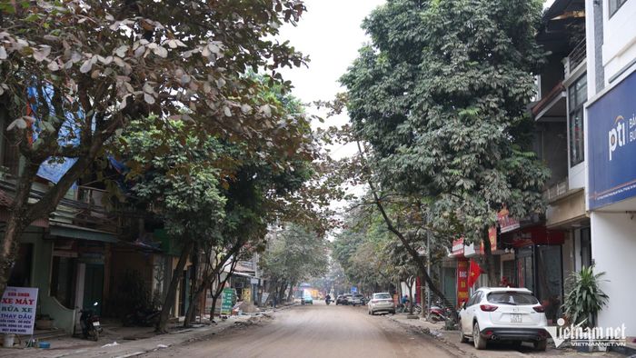 Bụi bẩn trên tuyến đường Lê Hồng Phong. Ảnh: Đức Hoàng
