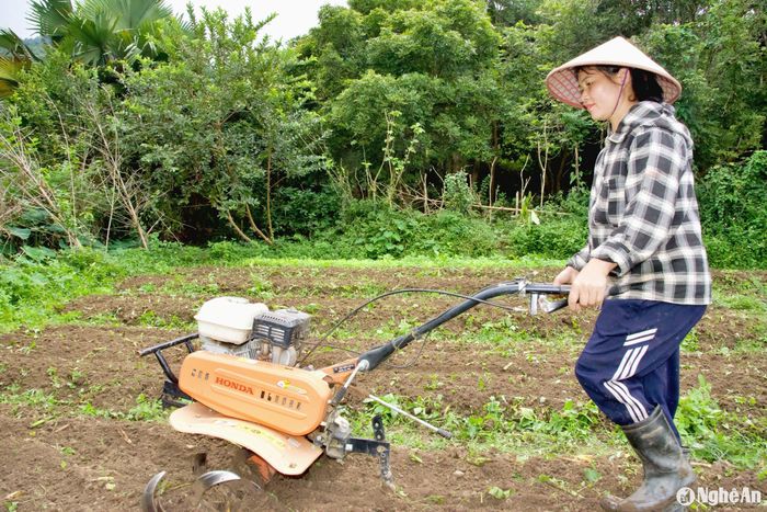 Ngoài sử dụng phân bón hữu cơ trong sản xuất nông nghiệp, ngày càng nhiều người dân bản Hòa Sơn ứng dụng máy móc phục vụ sản xuất. Ảnh: Hoài Thu