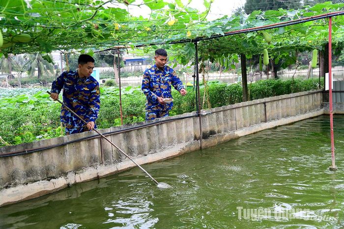Tăng gia sản xuất là việc làm hàng ngày của các chiến sỹ tại Lữ đoàn 679.