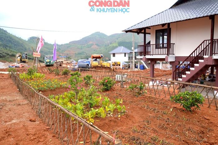 Nhà xong đến đâu được trồng rau và hoa ngay đến đó - sức sống mới đang bừng lên nơi đây. Ảnh: Quốc Hồng