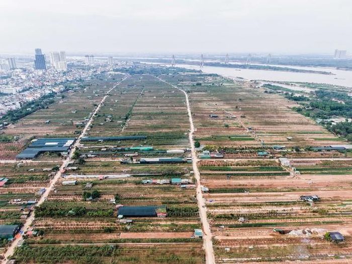 Nhiều diện tích đất trồng của làng đào Nhật Tân bị bỏ trống do ảnh hưởng của đợt mưa lũ kéo dài hồi tháng 9
