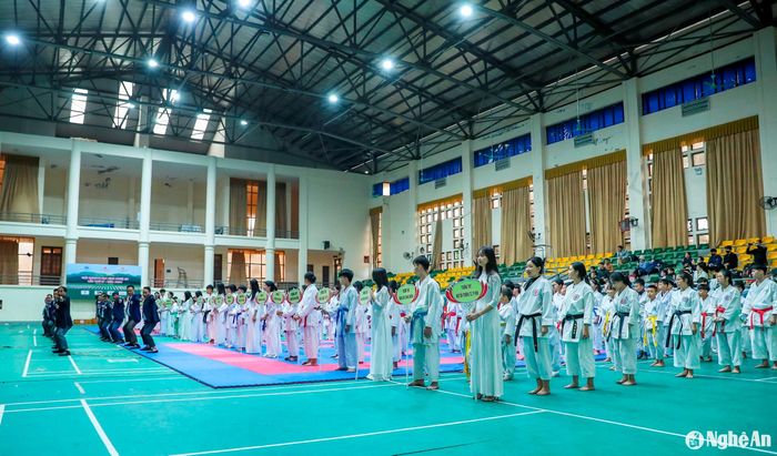 Gần 600 vận động viên tham gia Giải Karate học sinh Nghệ An lần thứ IV năm 2024. Ảnh: Đức Anh