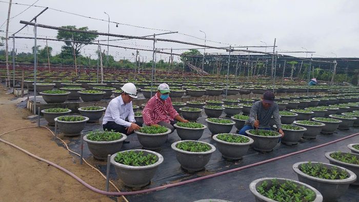Ông Hồ Đắc Lành (bên trái), Chủ tịch Hội Nông dân phường Hòa Xuân (quận Cẩm Lệ) giúp đỡ nhiều hội viên khó khăn vươn lên trong cuộc sống. Ảnh: PV