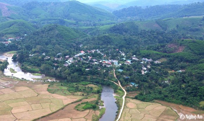 Huyện miền núi Quế Phong có nhiều tiềm năng, lợi thế phát triển cây quế Quỳ. Ảnh: Xuân Hoàng