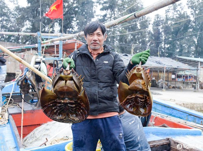 Tàu cá của ông Xuân trúng đậm mẻ sam biển. Ảnh: T.P