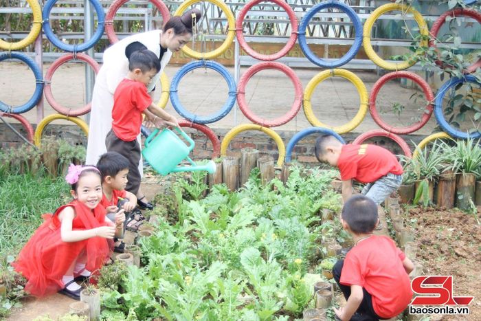 Cô giáo cùng các em học sinh trải nghiệm chăm sóc vườn rau.