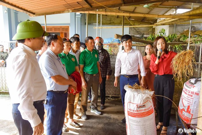 Cán bộ kỹ thuật hướng dẫn hội viên nông dân huyện Nam Đàn các kỹ thuật xử lý rác thải (lên men phụ phẩm cây trồng làm thức ăn chăn nuôi. Ảnh: T.Lê