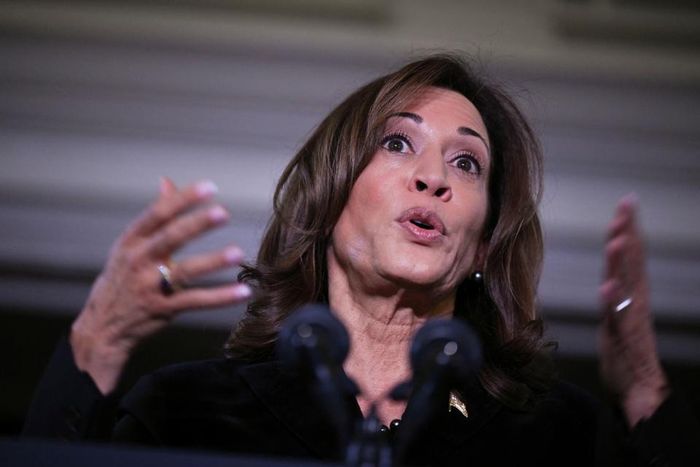 Phó tổng thống Mỹ Kamala Harris. Ảnh: Reuters.