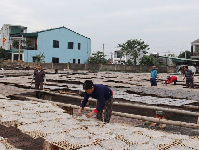 Bánh đa tráng xong đưa ra phơi một nắng là tốt nhất. Ảnh: Lê Ngọc Phương