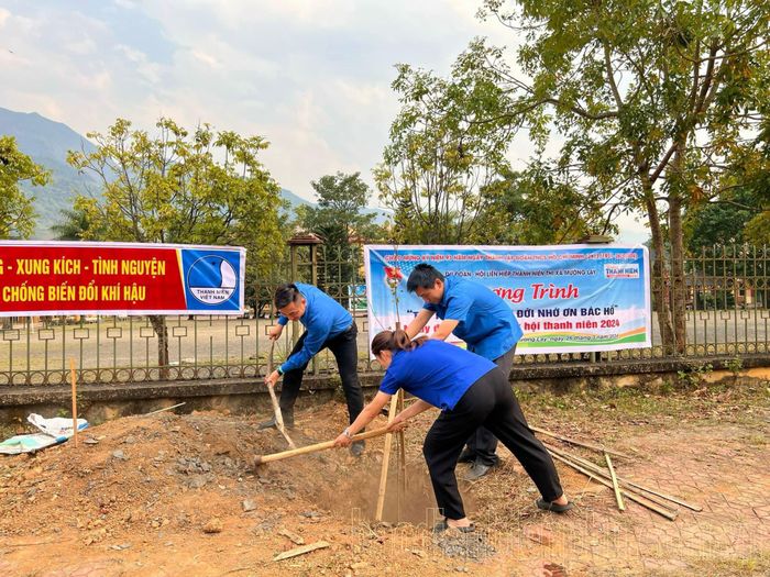 Đoàn viên thanh niên TX. Mường Lay trồng cây ban.