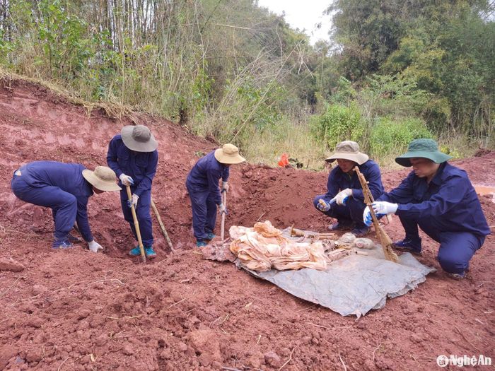 Cùng với đó, lực lượng vũ trang tỉnh đã hoàn thành xuất sắc nhiệm vụ công tác tìm kiếm, cất bốc, quy tập hài cốt liệt sĩ quân tình nguyện Việt Nam hy sinh trên đất nước bạn Lào. Ảnh: Bộ CHQS tỉnh