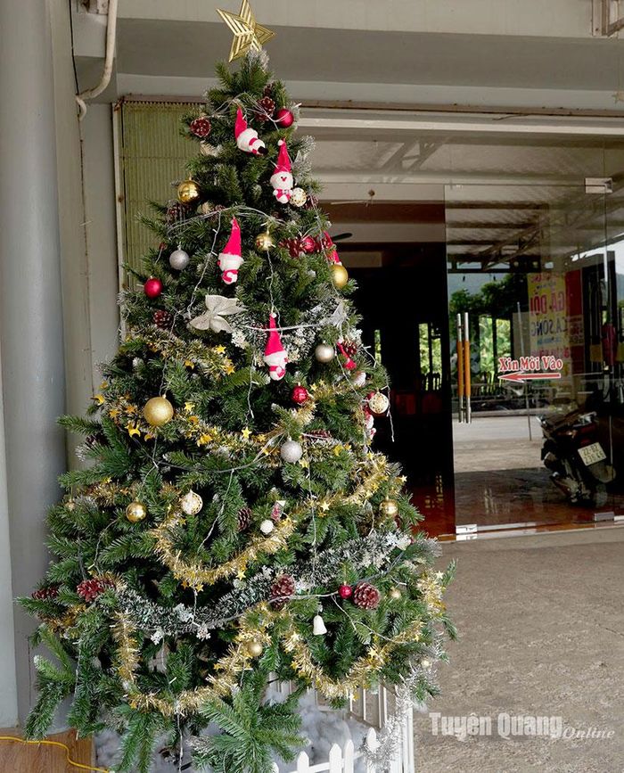 Gia đình, cửa hàng trang trí cây thông Noel ngoài sảnh.